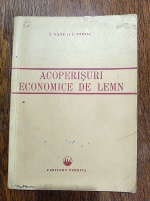 Acoperisuri economice din lemn - N. Gane / R8P4S foto