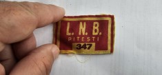 EMBLEMA MATRICOLA SCOLARA LICEUL NICOLAE BALCESCU PITESTI DE COLECTIE ANII 80