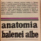 Anatomia balenei albe