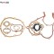 Set complet garnituri Ape TM P602 (82-83) - TM P703 (84-05) - TM P703 V (84-05) - TM P703 V FL2 (84-05) 2T AC 220cc