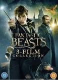 Filme Fantastic Beasts / Animale Fantastice 1-3 [DVD] Originale si Sigilate