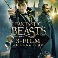 Filme Fantastic Beasts / Animale Fantastice 1-3 [DVD] Originale si Sigilate