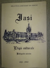 Iasi. Efigii Culturale. Bibliografie selectiva, cu semnatura olografa Olga Rusu foto