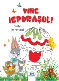 Vine iepurasul - Carte de colorat - Editura DPH