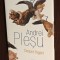 Andrei Plesu - Despre ingeri