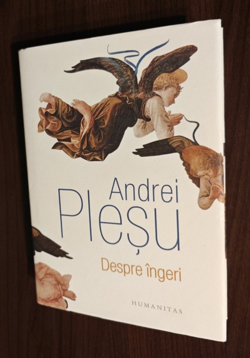 Andrei Plesu - Despre ingeri