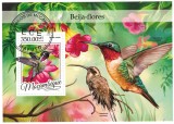 Timbre Mozambic 2016: Pasari Colibri - Bloc Nou, Straine Dupa 1950