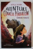AVENTURI LA CONACUL PENHALLOW , COMOARA PIERDUTA de HOLLY WEBB , ilustratii de JASON COCKCROFT , 2019