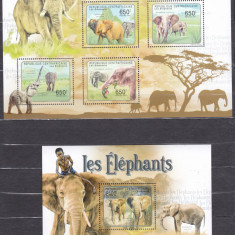 DB1 Fauna Africa Centrala Elefanti MS + SS MNH