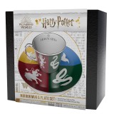 Set Cadou Harry Potter - Sorted