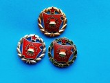 Lot 3 Insigne Ungaria-27 mm., Europa
