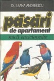 Pasari de apartament: Mica enciclopedie - Ileana Andreescu