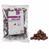 Boilies Pescuit la Crap Wellmix 20mm 1kg Spicy Birdfood, Caperlan