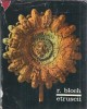 Etruscii - Istorie | Raymond Bloch | Editura Stiintifica 1966 | 250 Pagini