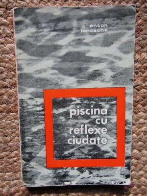 Piscina cu reflexe ciudate - Anton Iordache foto
