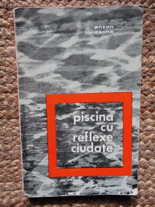 Piscina cu reflexe ciudate - Anton Iordache