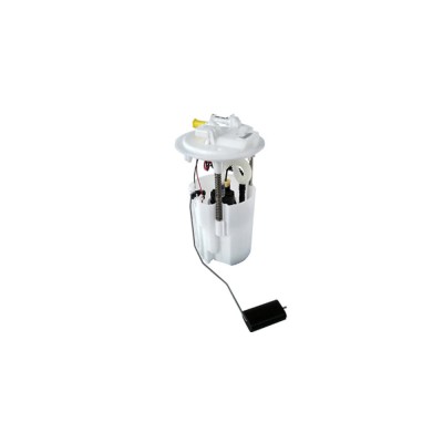 Pompa combustibil RENAULT KANGOO Express FW0 1 BOSCH 0580203119 foto