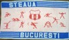 Prosop (model vechi, de colectie) fotbal - STEAUA BUCURESTI (dimensiuni 130x70 cm)