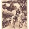 1380 - King CAROL II, Comandantul Strajerilor, Romania - old postcard - unused