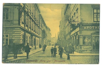 5027 - TIMISOARA, Farmacie, Romania - old postcard - used - 1913 foto