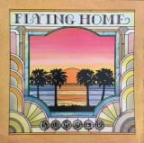 VINIL Summer &lrm;&ndash; Flying Home - VG+ -