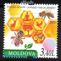 MOLDOVA 2023, Apicultura, Albine, Fauna, serie neuzata, MNH