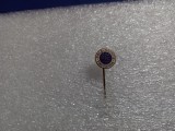Insigna ASIL Timisoara