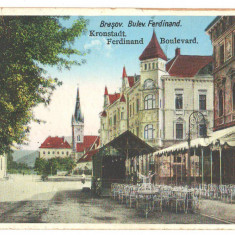 SV * Brasov * BULEVARDUL FERDINAND * Cafeneaua Transilvania * Prefectura * 1929