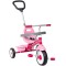 Tricicleta Radio Flyer 3-in-1 Stroll N Trike, Roz, 1.5 - 5 ani