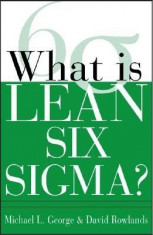 What Is Lean Six SIGMA foto