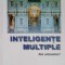 INTELIGENTE MULTIPLE. NOI ORIZONTURI-HOWARD GARDNER-257937