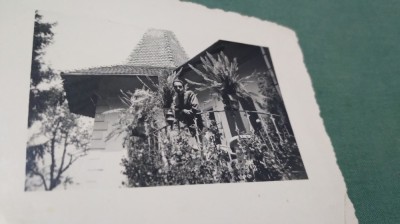 FOTO TIP 9/6 foto