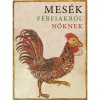 Mes&eacute;k f&eacute;rfiakr&oacute;l nőknek - Boldizs&aacute;r Ildik&oacute;, Boldizs&aacute;r Ildik&oacute;