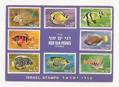 FA27-Carte Postala- ISRAEL - Stamps, Red sea Fishes, necirculata foto