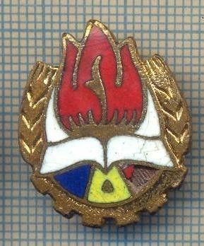 Y 848 INSIGNA - PIONIERI - PUTIN DETERIORATA LA TRICOLOR -PENTRU COLECTIONARI foto