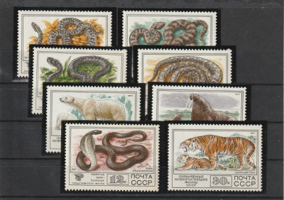 Fauna,zoo ,serpi ,tigru ,,,, URSS. foto