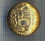 AX 1169 NASTURE METALIC MIC - HERALDICA INTERESANTA -PENTRU COLECTIONARI