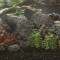 Roci vulcanice, 10 kg, negru, 10-30 cm