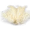 Set 20 pene decorative strut, lungime 9-16 cm, Vanilie, Crisalida
