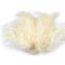 Set 20 pene decorative strut, lungime 9-16 cm, Vanilie