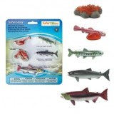 Ciclul vietii la somon