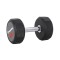 Gantera inSPORTline Profi CPU 20 kg,