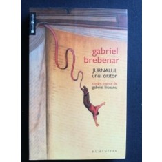 Jurnalul unui cititor- Gabriel Brrebenar