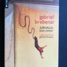 Jurnalul unui cititor- Gabriel Brrebenar