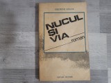 Nucul si via de Gheorghe Vaduva