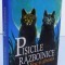 PISICILE RAZBOINICE , FOC SI GHEATA , CARTEA A II - A de ERIN HUNTER , 2015