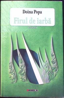 FIRUL DE IARBA-DOINA POPA-273244 foto