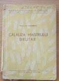 Calauza maistrului brutar Lilly Grossman