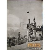 Mircea Iosif (foto.) - Muzeul Peles, editia a II-a (Editia: 1963)