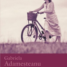Întâlnirea - Paperback brosat - Gabriela Adameşteanu - Polirom